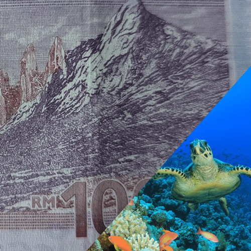 Bright spots in the dark: Tracking Malaysia's fiscal transfers for nature conservation