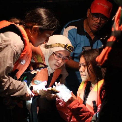 It Takes a Village to Keep Fireflies Flashing