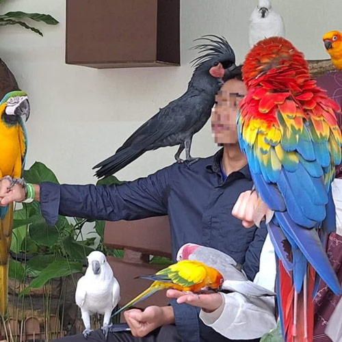 Jury Out On Whether Petting Zoos Aid Conservation