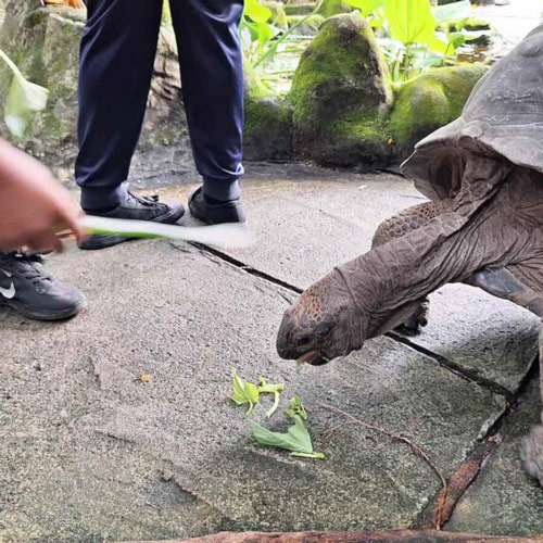 Petting Wildife Sending Mixed Signals